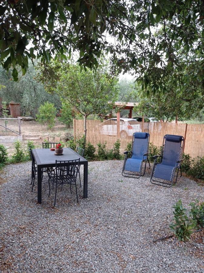 Agriturismo San Giorgino โกรเซตโต ห้อง รูปภาพ