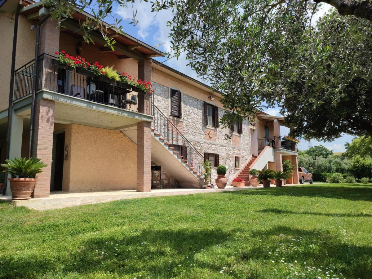 Agriturismo San Giorgino โกรเซตโต ภายนอก รูปภาพ