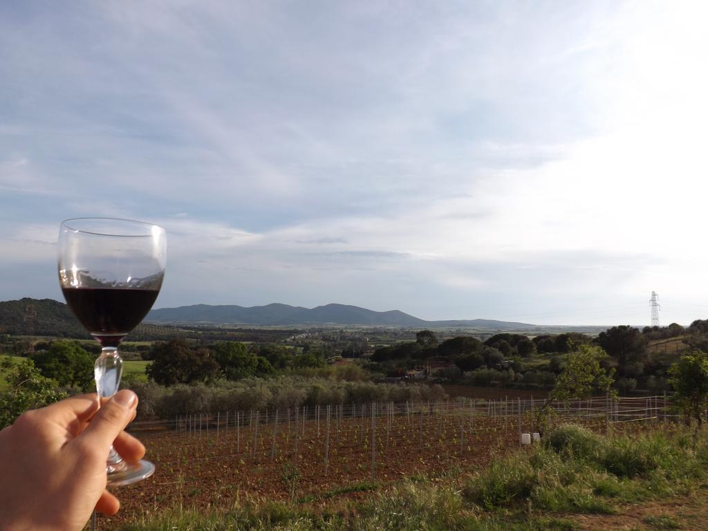 Agriturismo San Giorgino โกรเซตโต ภายนอก รูปภาพ