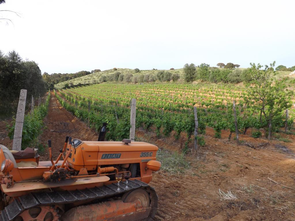 Agriturismo San Giorgino โกรเซตโต ภายนอก รูปภาพ